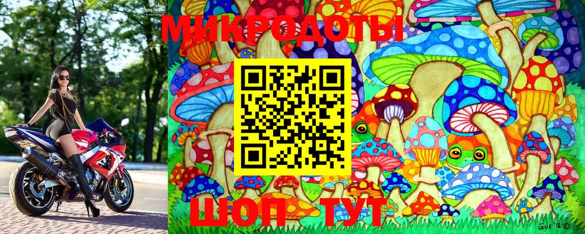 Галлюциногенные грибы MAGIC MUSHROOMS  Галлюциногенные грибы Magic Shrooms  Нижний Тагил  Вход с VPN 