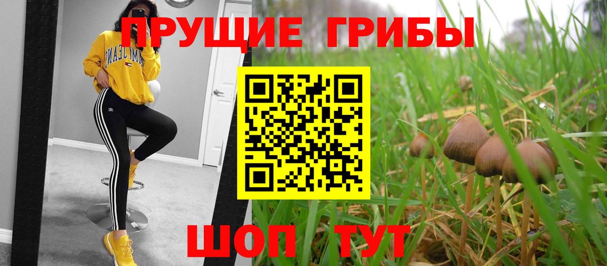 Где купить  COCAIN  Каннабис  Нижний Тагил  Гашиш  МЕТ  Канабис  Вход с VPN  МЕФ кристаллы 
